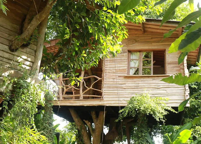 Roots Tree House - Boutique Hotel - Uluwatu